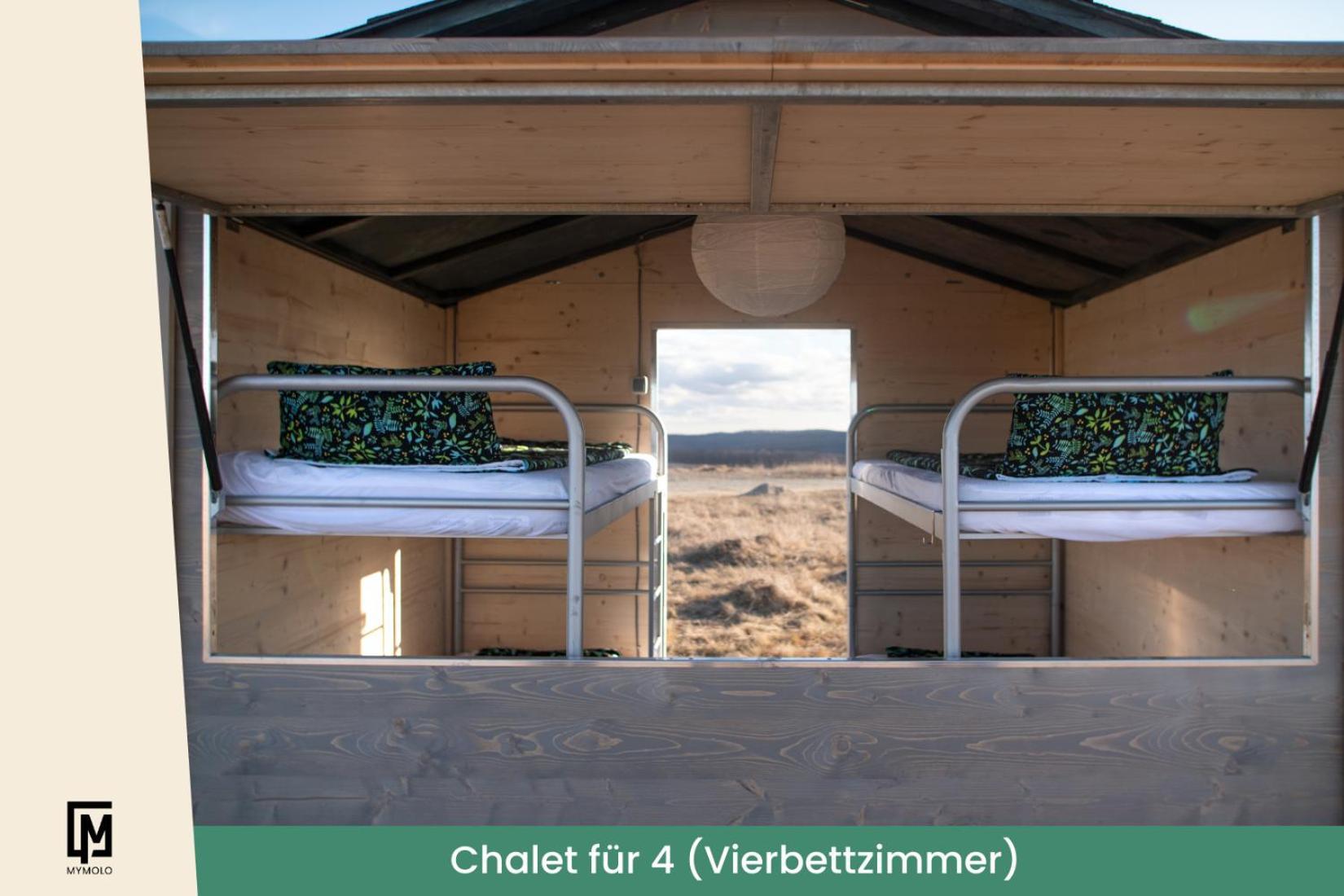 Kieler Woche Lodge Camp Kültér fotó